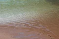DSCN0057