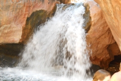 DSCN0083